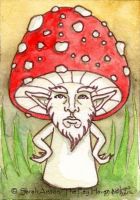 The Mushroom was actually a nice guy
